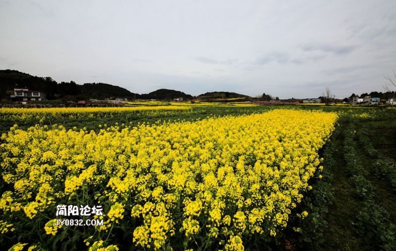 3C7A3325.jpg