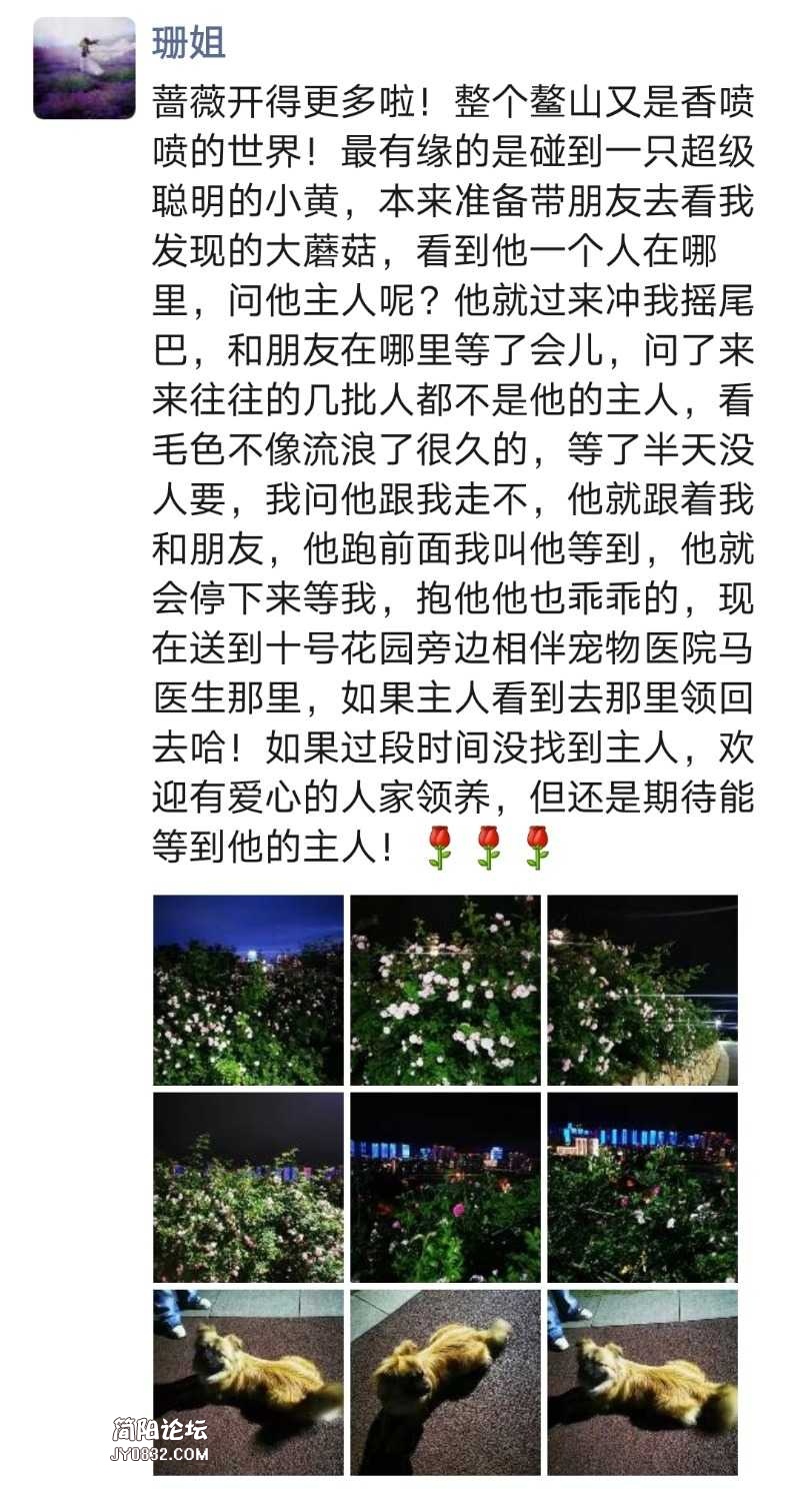 Screenshot_20210402_214533.jpg