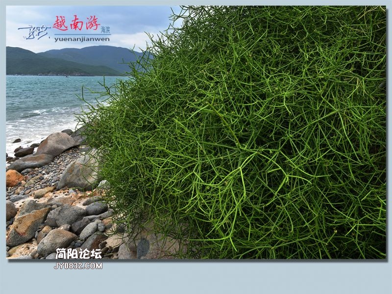 越南游——03.jpg