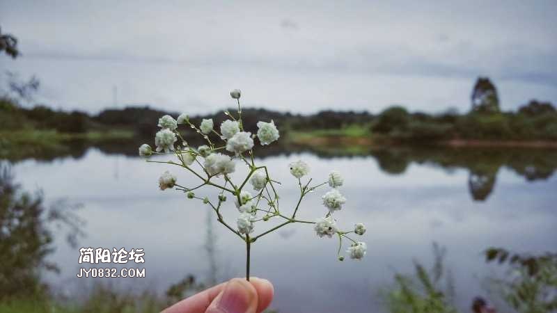 E42552BF-2C3C-41D1-BBBB-5B3250220643.jpeg