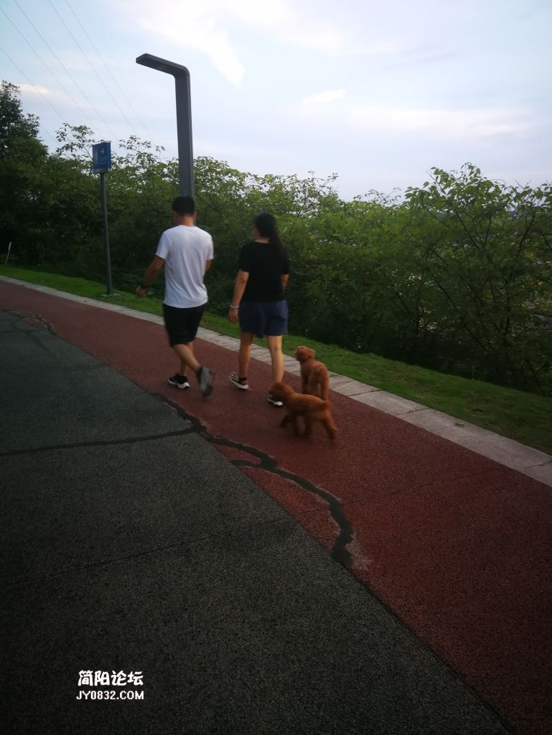 微信图片_20210718083751.jpg