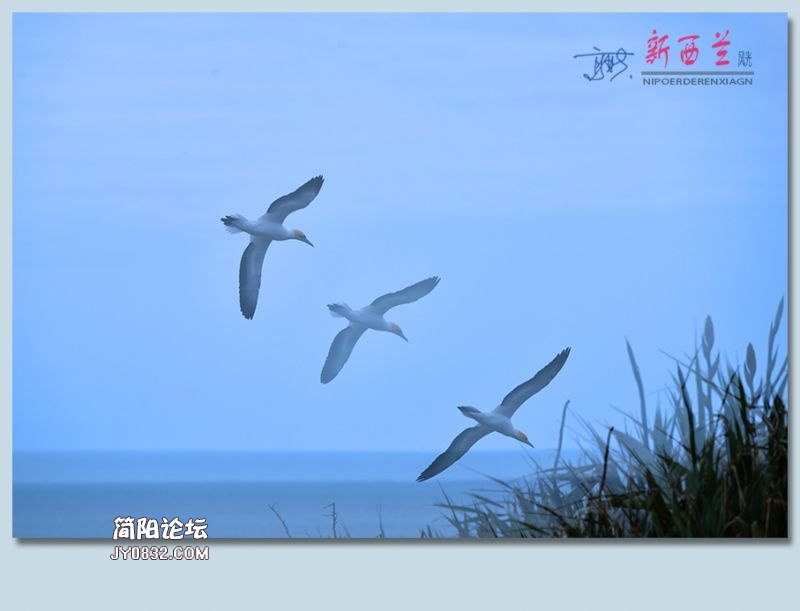 新西兰——01.jpg