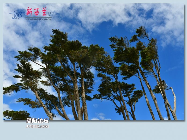 新西兰——13.jpg