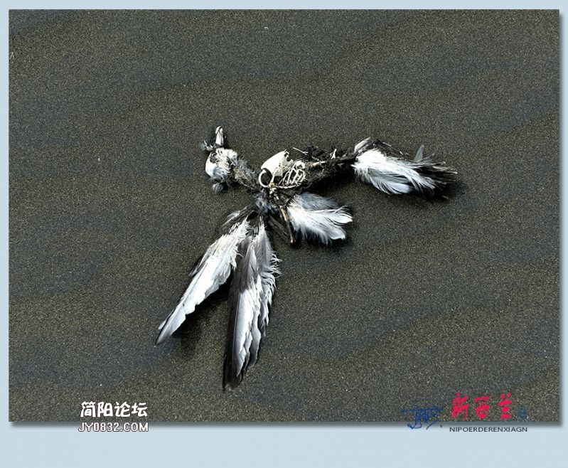 新西兰——19.jpg