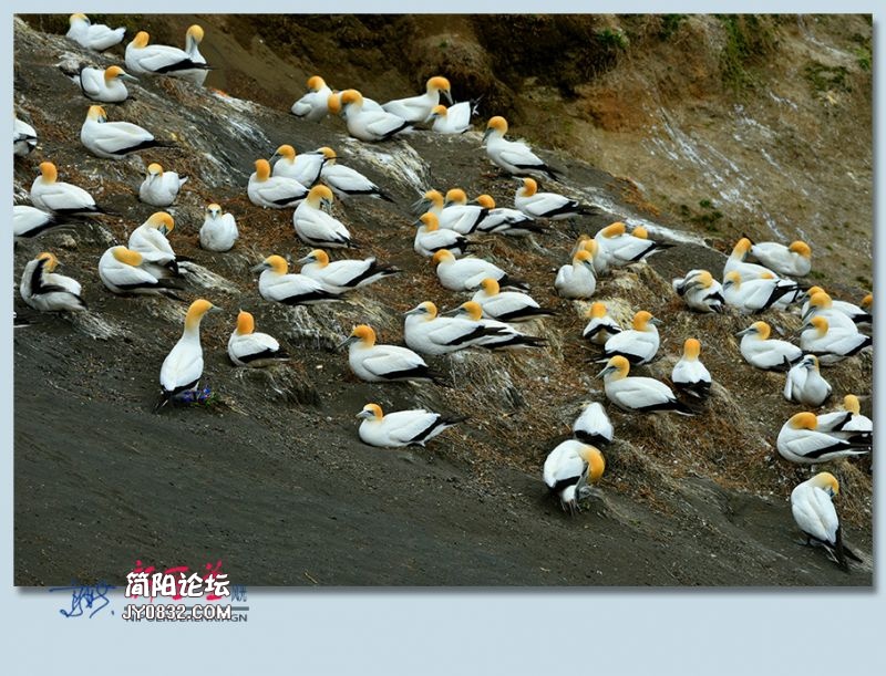 新西兰——36.jpg