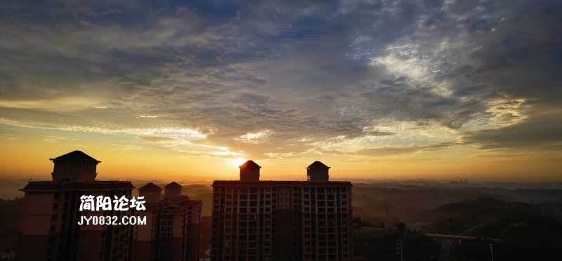 IMG_20210910_070123.jpg