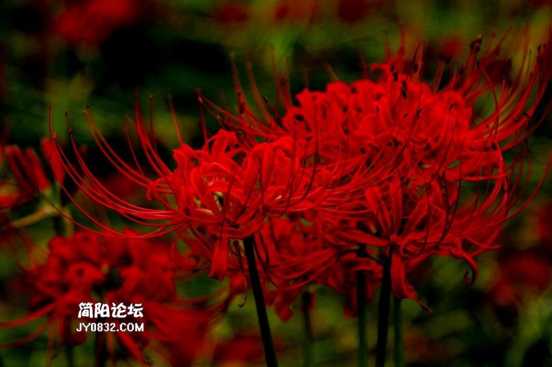 IMG_0729.jpg