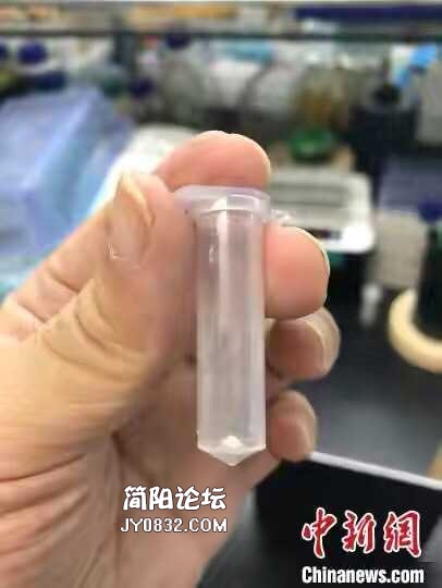 B482F39D-6D81-4D48-8B7C-4634AF4AFAA7.jpeg