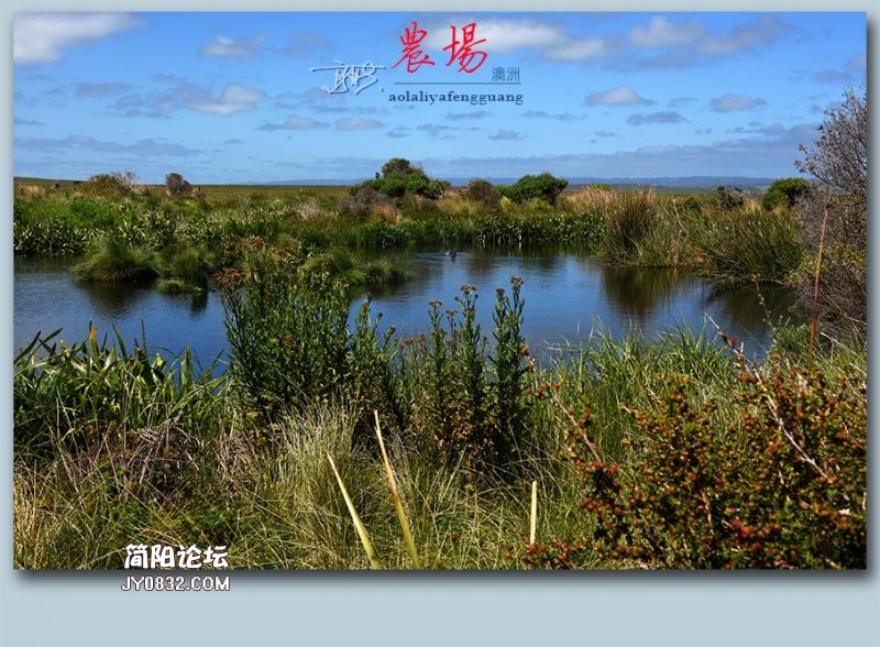农场——12.jpg