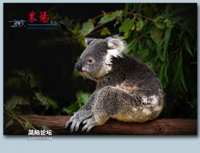 农场——20.jpg