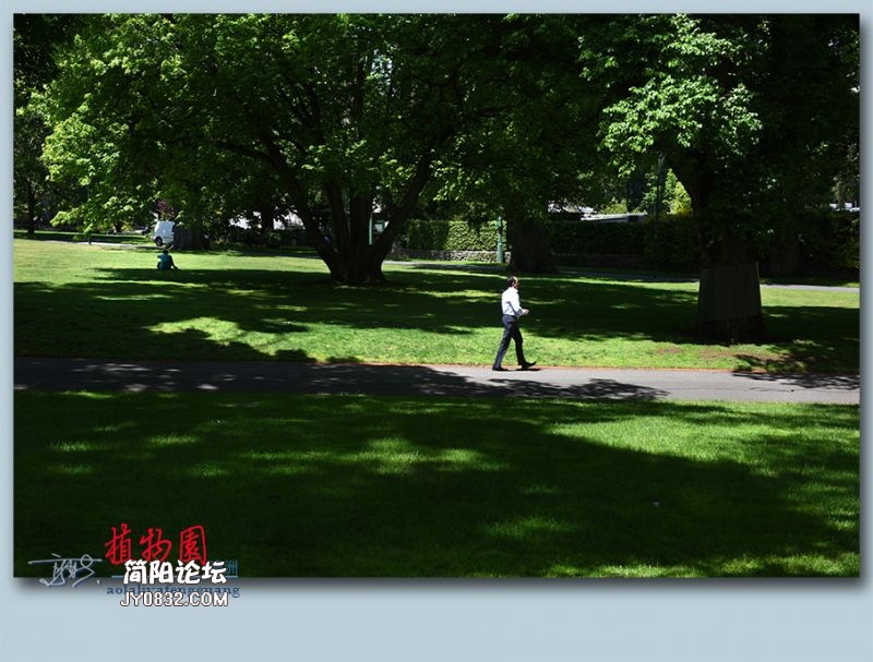植物园——03.jpg