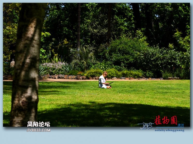 植物园——07.jpg