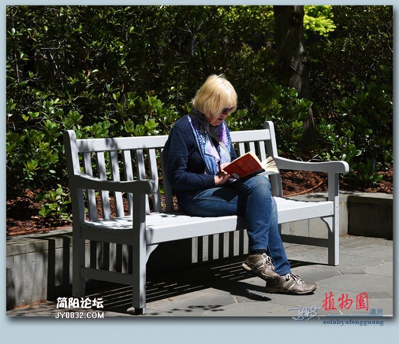 植物园——14.jpg