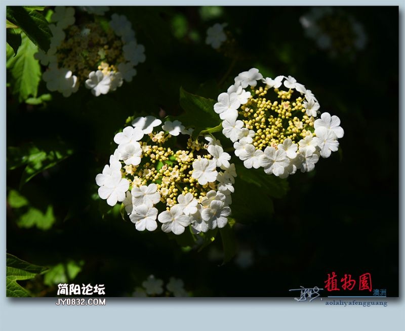 植物园——17.jpg