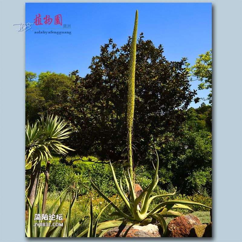 植物园——21.jpg