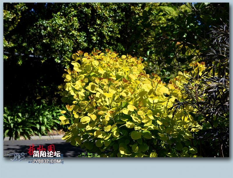 植物园——31.jpg