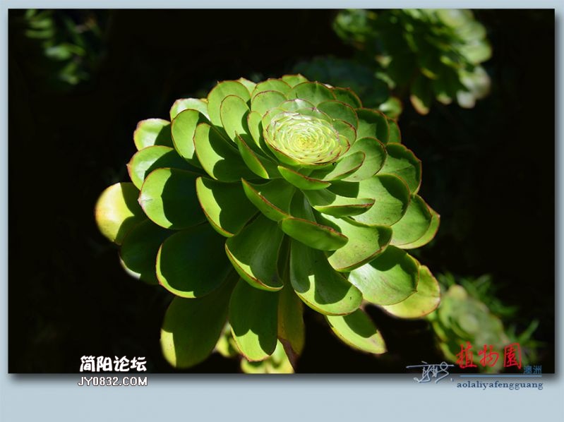 植物园——39.jpg
