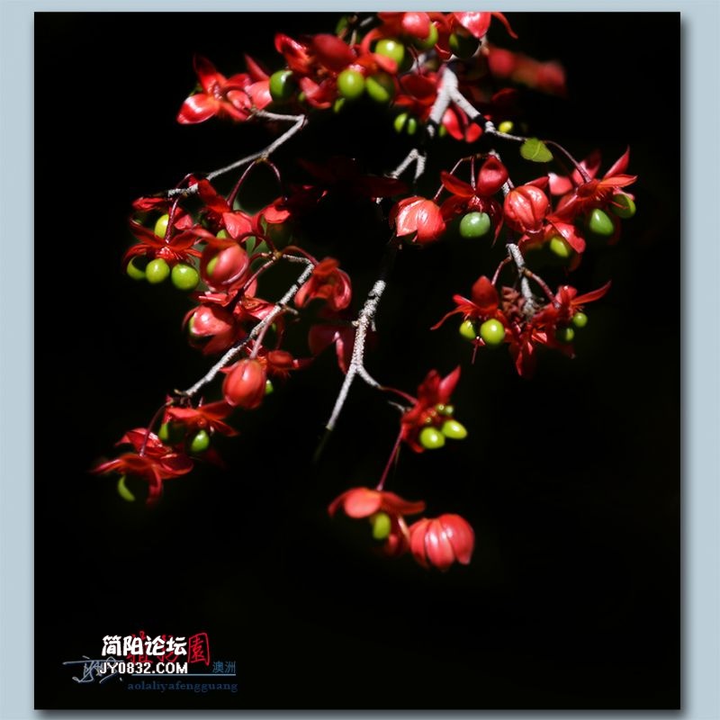 植物园——42.jpg
