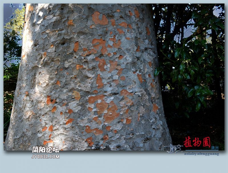 植物园——43.jpg