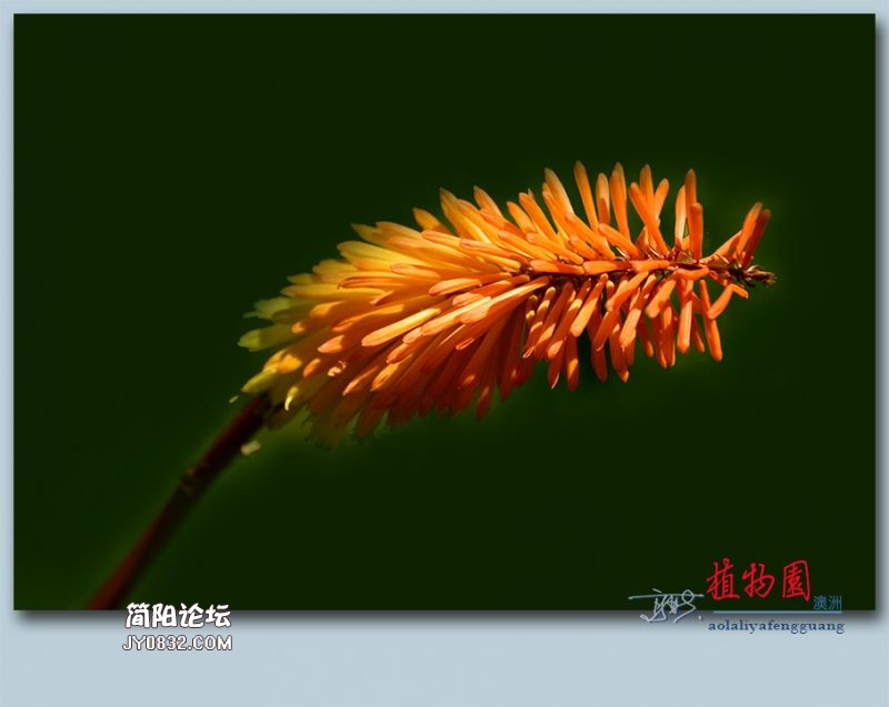 植物园——47.jpg