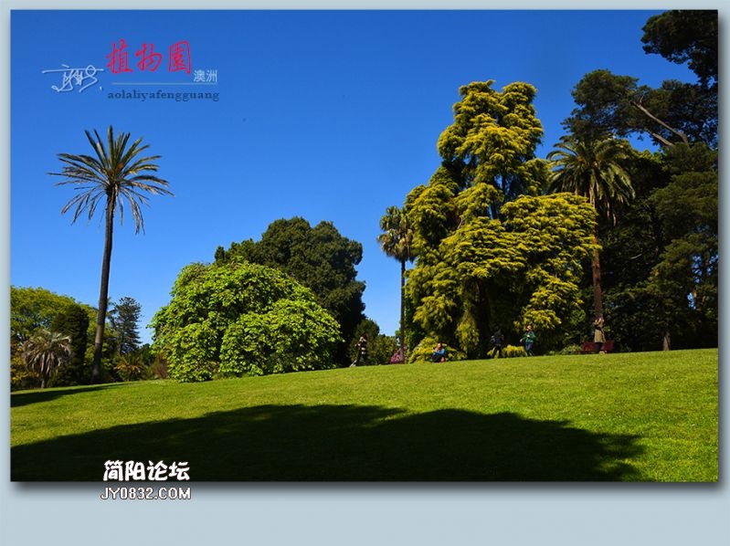 植物园——52.jpg