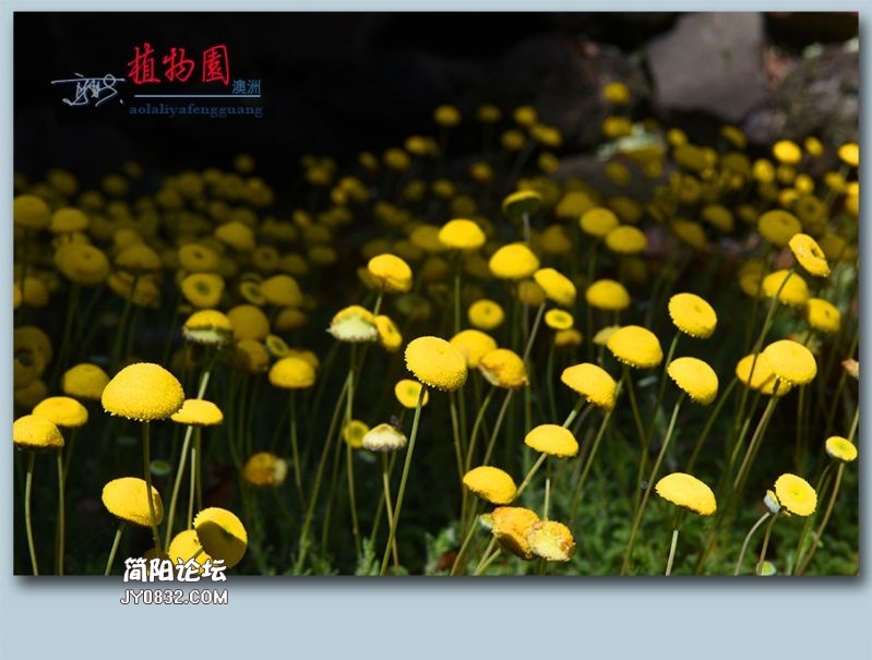 植物园——54.jpg