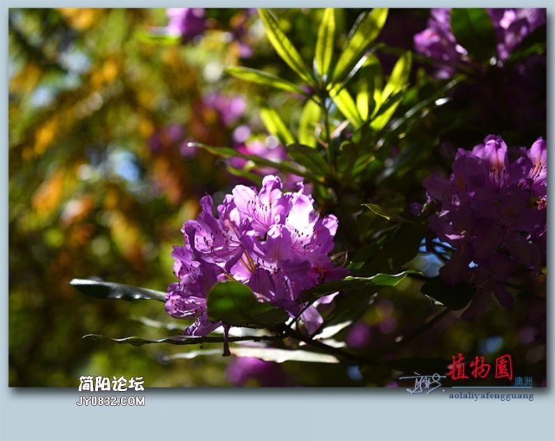 植物园——55.jpg