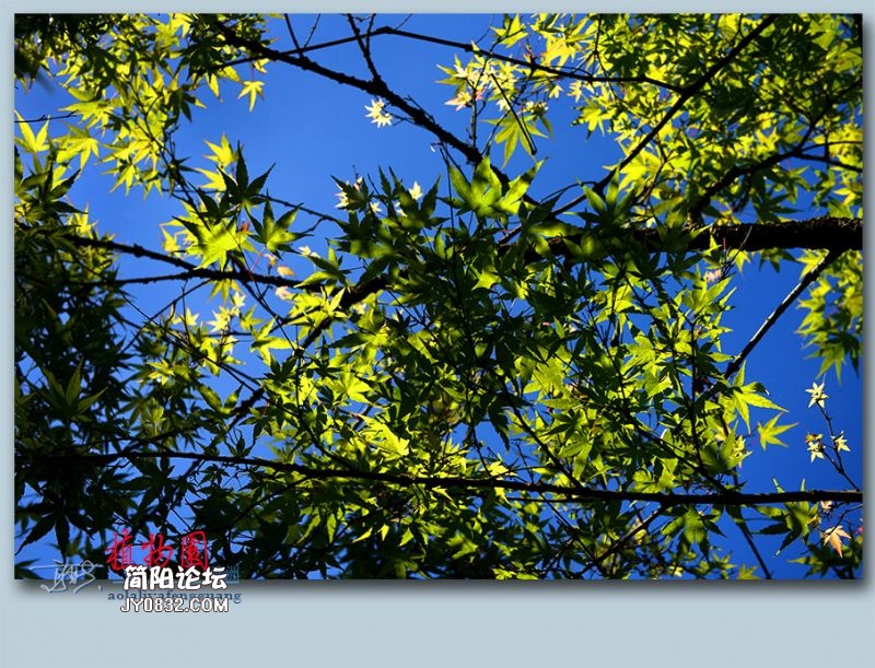 植物园——58.jpg