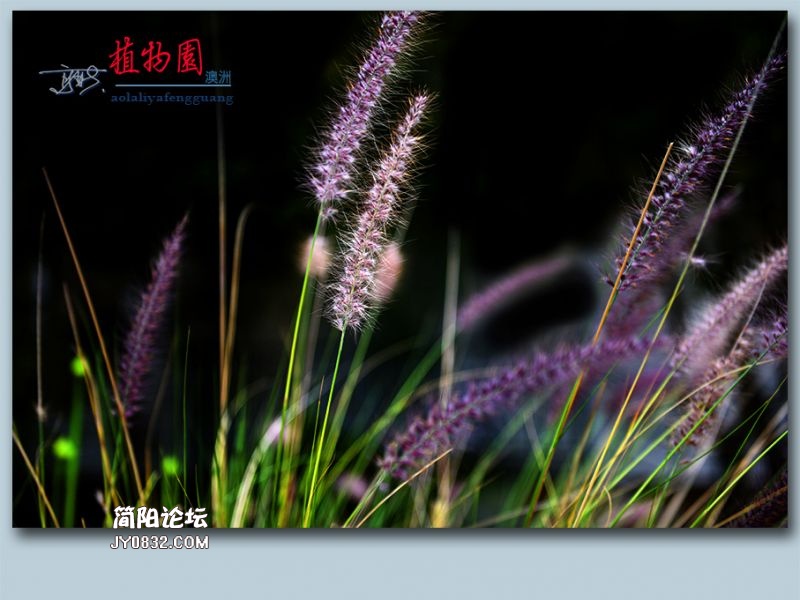 植物园——63.jpg