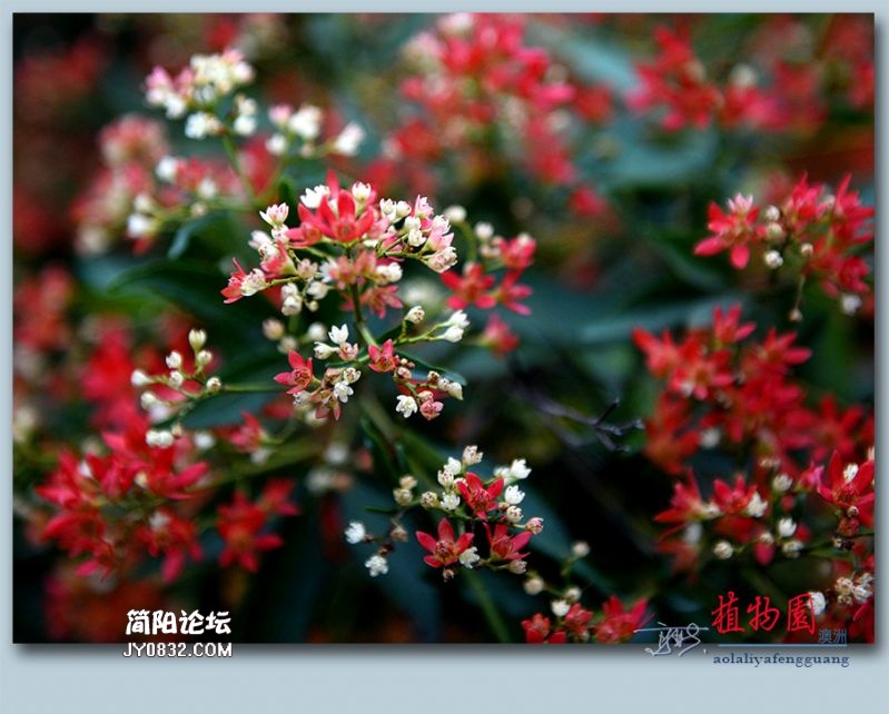 植物园——66.jpg