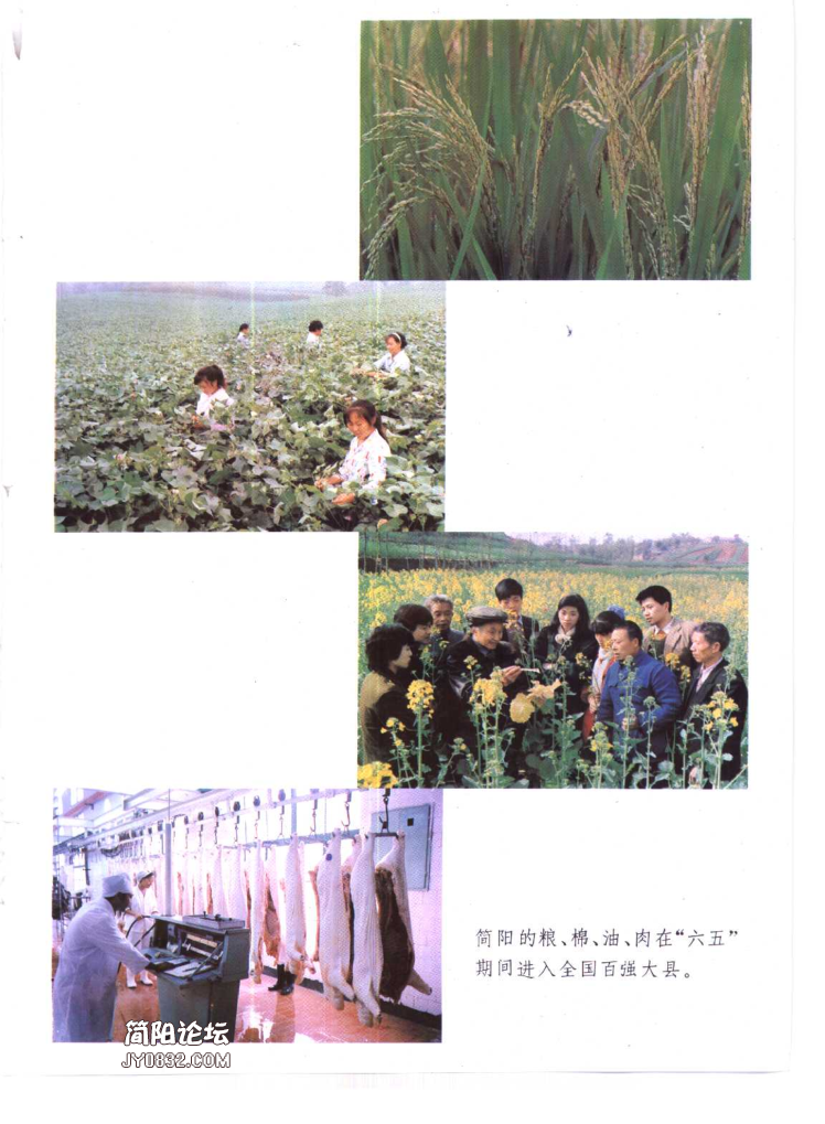 四川省成都市 《简阳县志》1996版（简阳市）_5.png