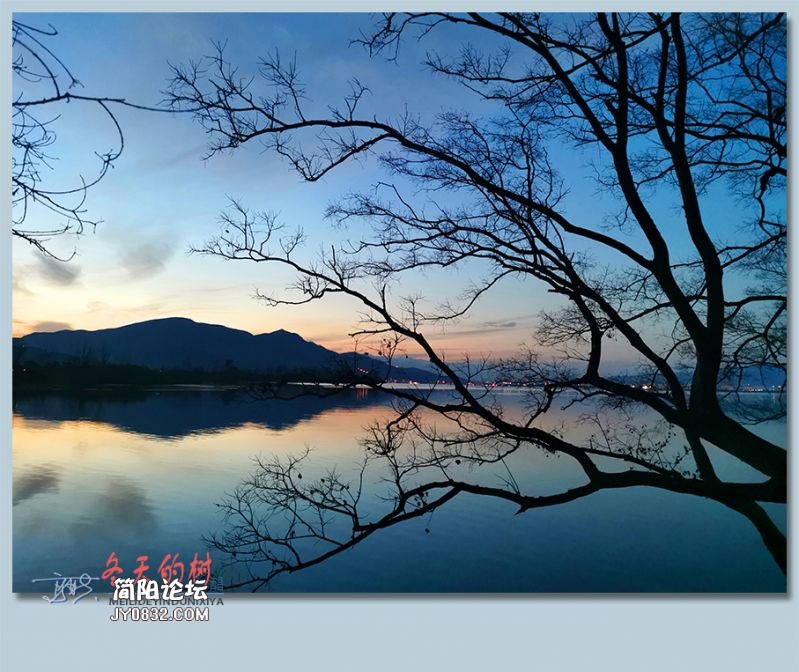 冬天的树——22.jpg