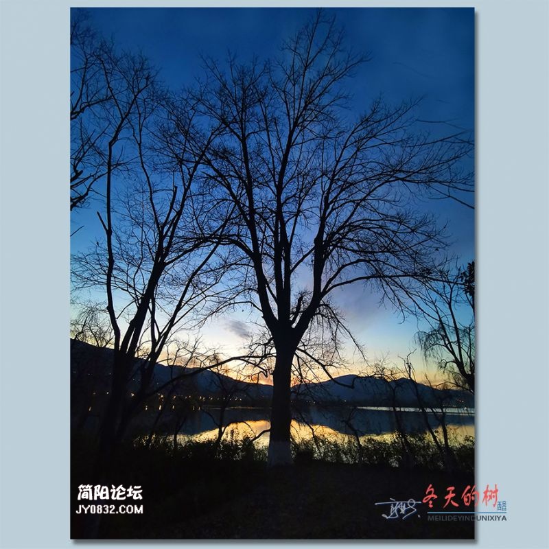 冬天的树——25.jpg