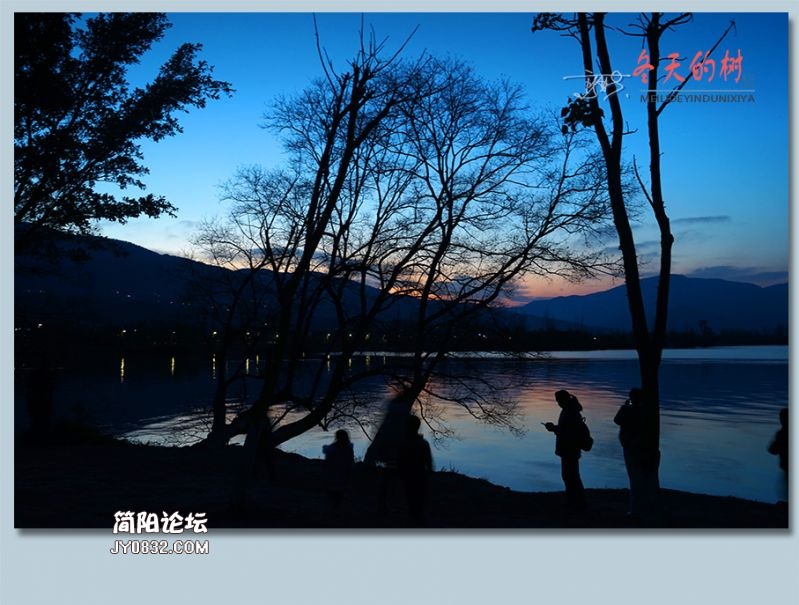 冬天的树——46.jpg