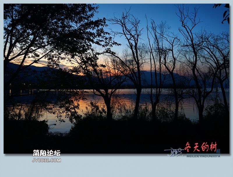 冬天的树——47.jpg