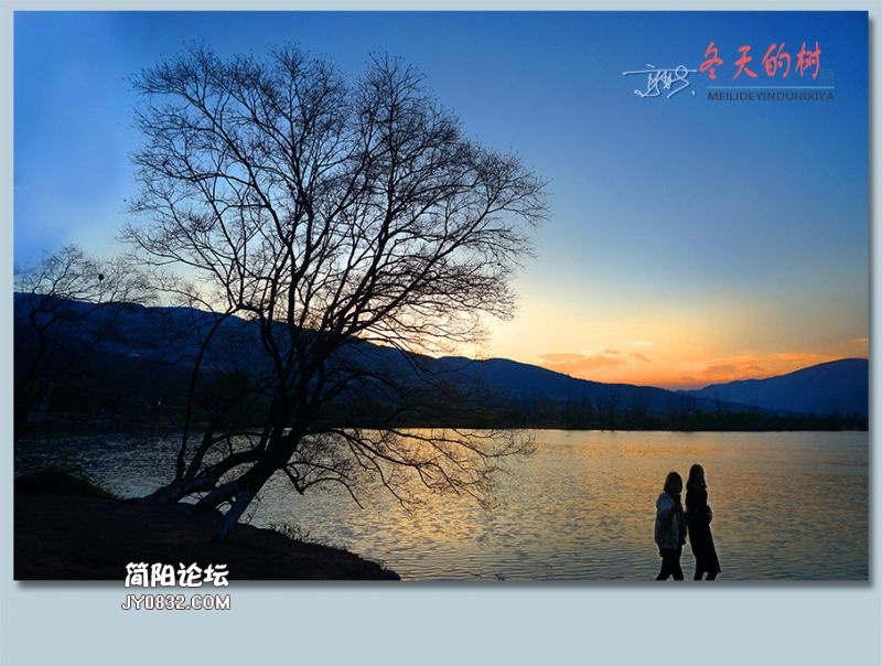 冬天的树——51.jpg