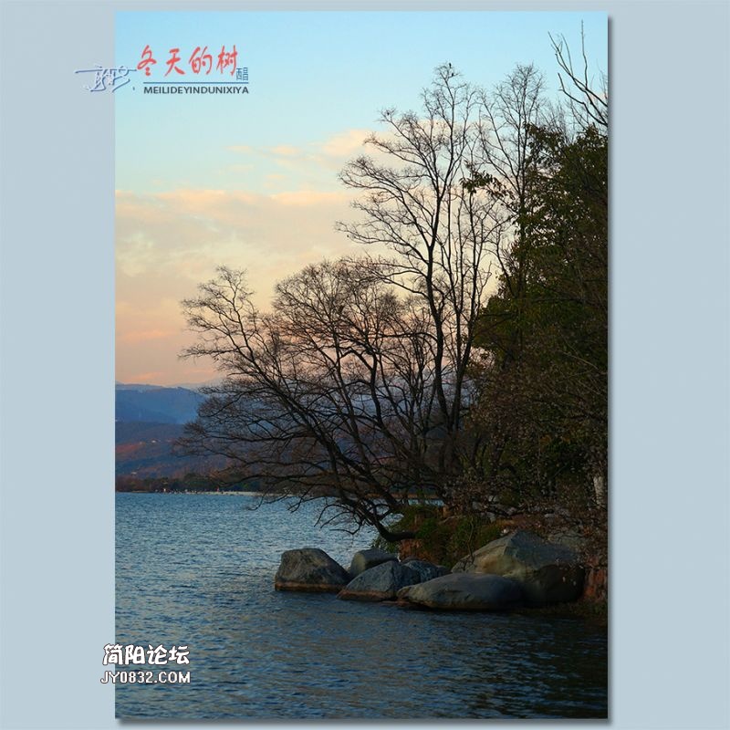 冬天的树——62.jpg