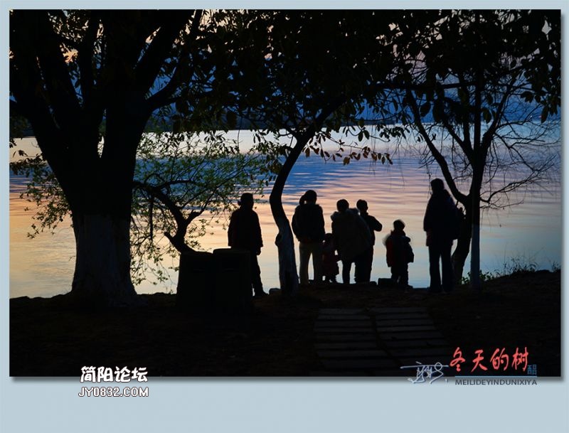 冬天的树——48.jpg