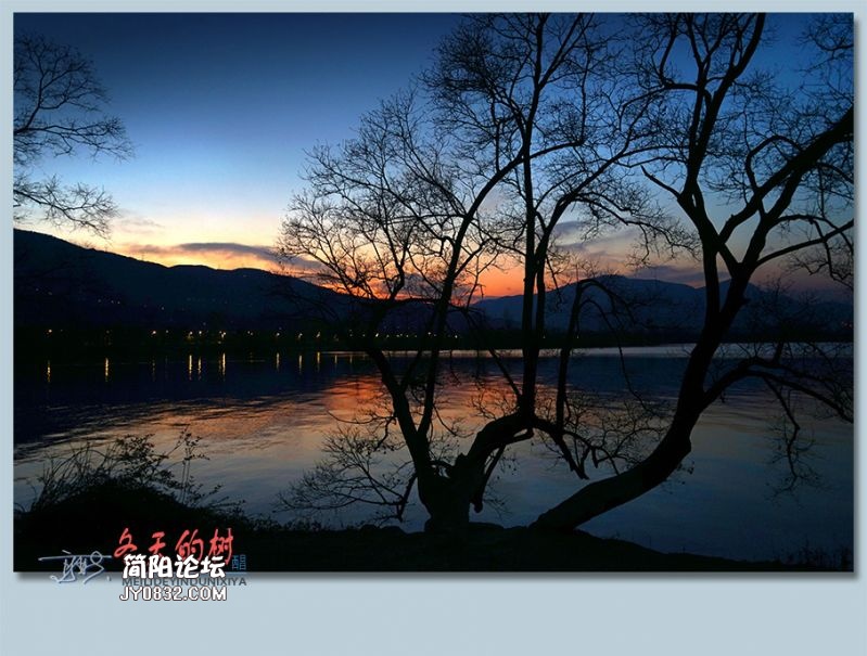 冬天的树——61.jpg