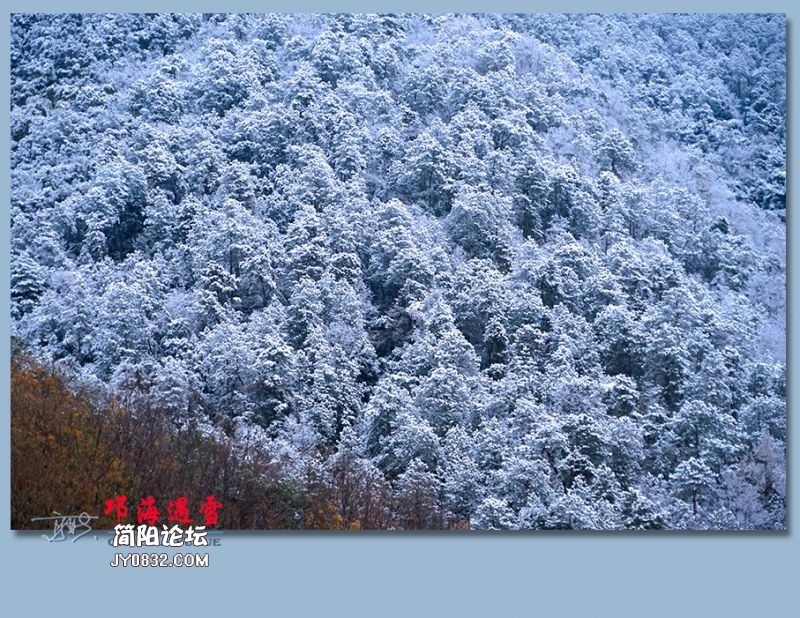 邛海遇雪——26.jpg