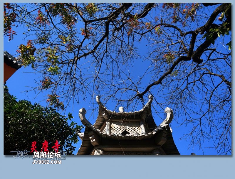 灵鹰寺——43.jpg