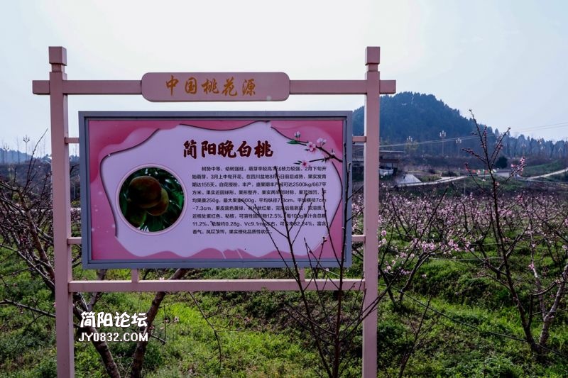 3C7A9900.jpg