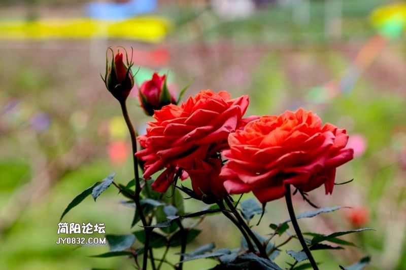 3C7A9927.jpg