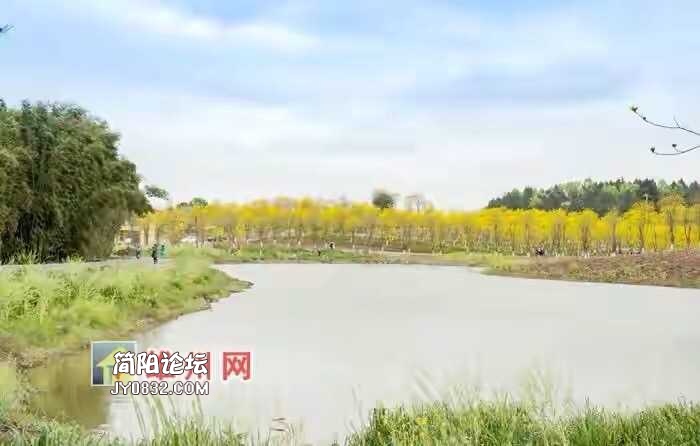 3251AF15-266B-4A17-A310-8CD3D3FF140E.jpeg