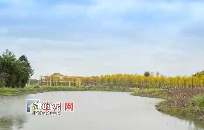 3251AF15-266B-4A17-A310-8CD3D3FF140E.jpeg