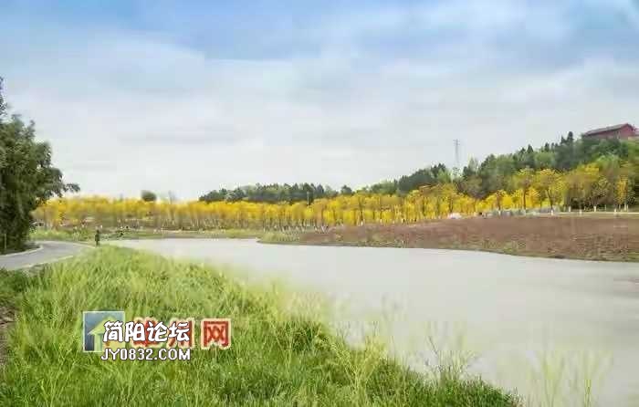 3251AF15-266B-4A17-A310-8CD3D3FF140E.jpeg