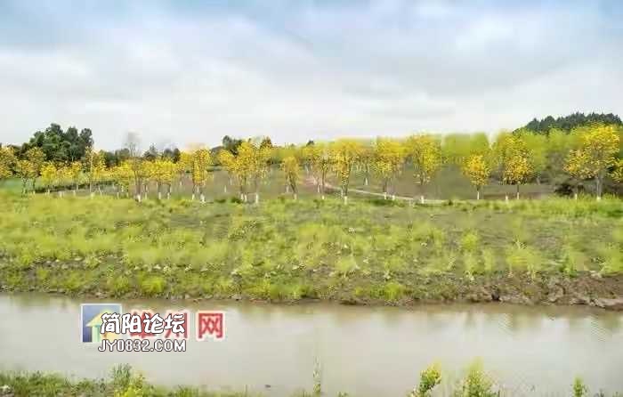 3251AF15-266B-4A17-A310-8CD3D3FF140E.jpeg