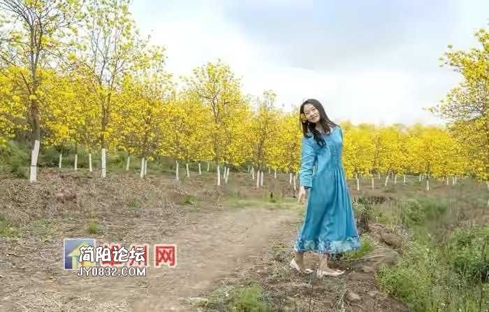 3251AF15-266B-4A17-A310-8CD3D3FF140E.jpeg