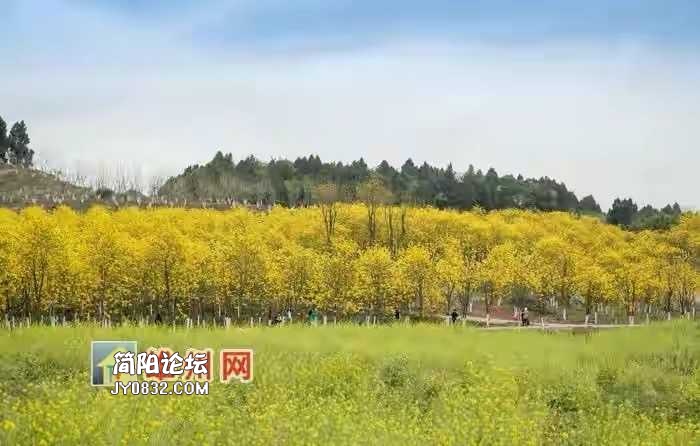 3251AF15-266B-4A17-A310-8CD3D3FF140E.jpeg