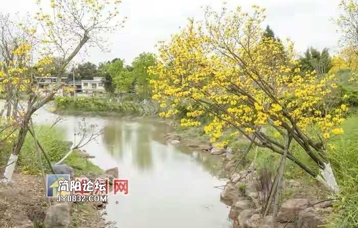 3251AF15-266B-4A17-A310-8CD3D3FF140E.jpeg